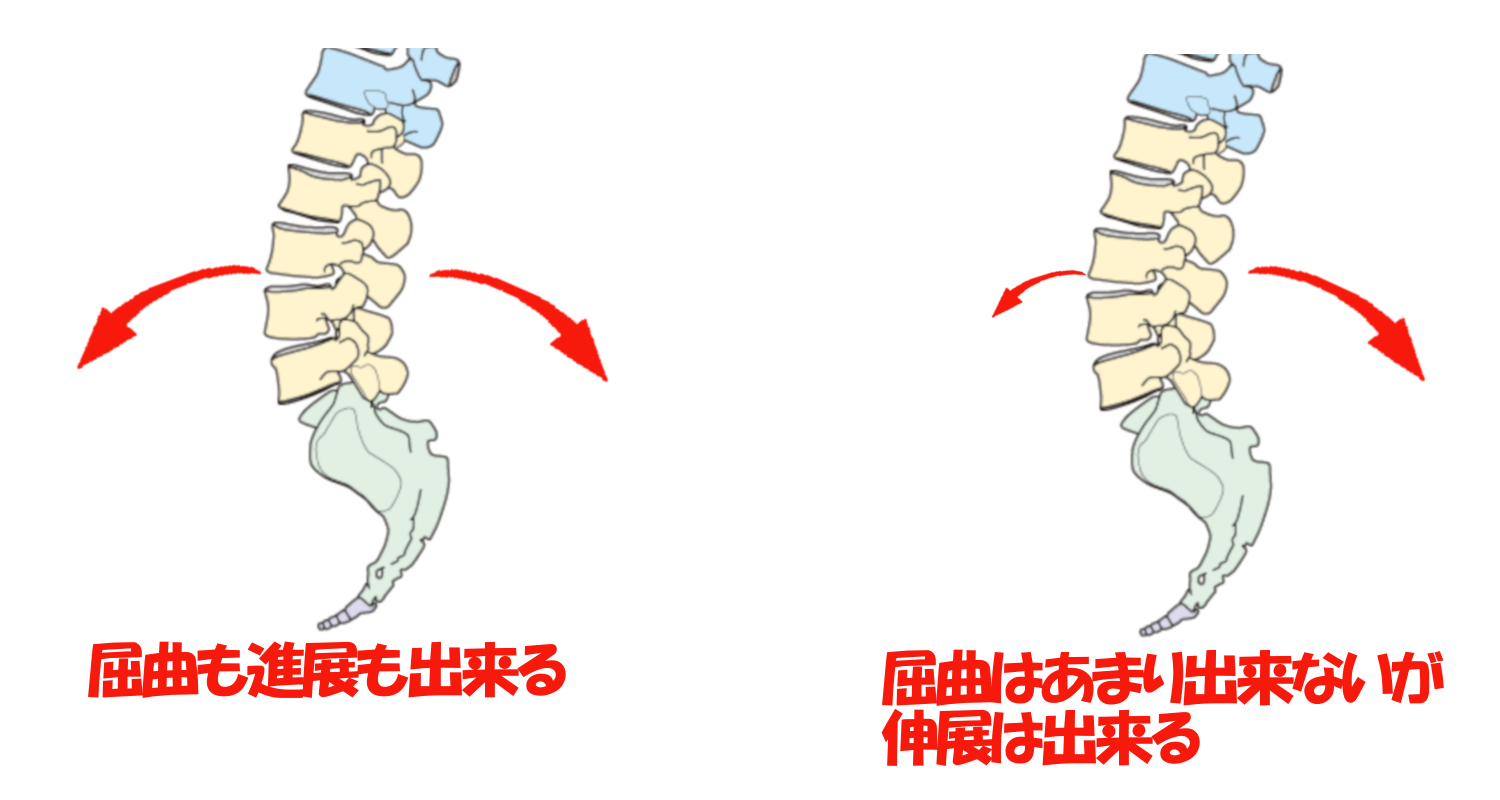 腰椎伸展と屈曲